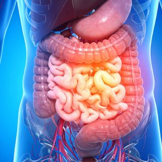 Favorisce la regolarità intestinale