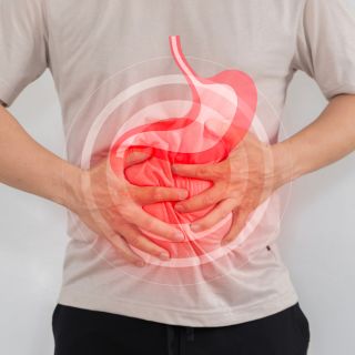 Supporta la digestione